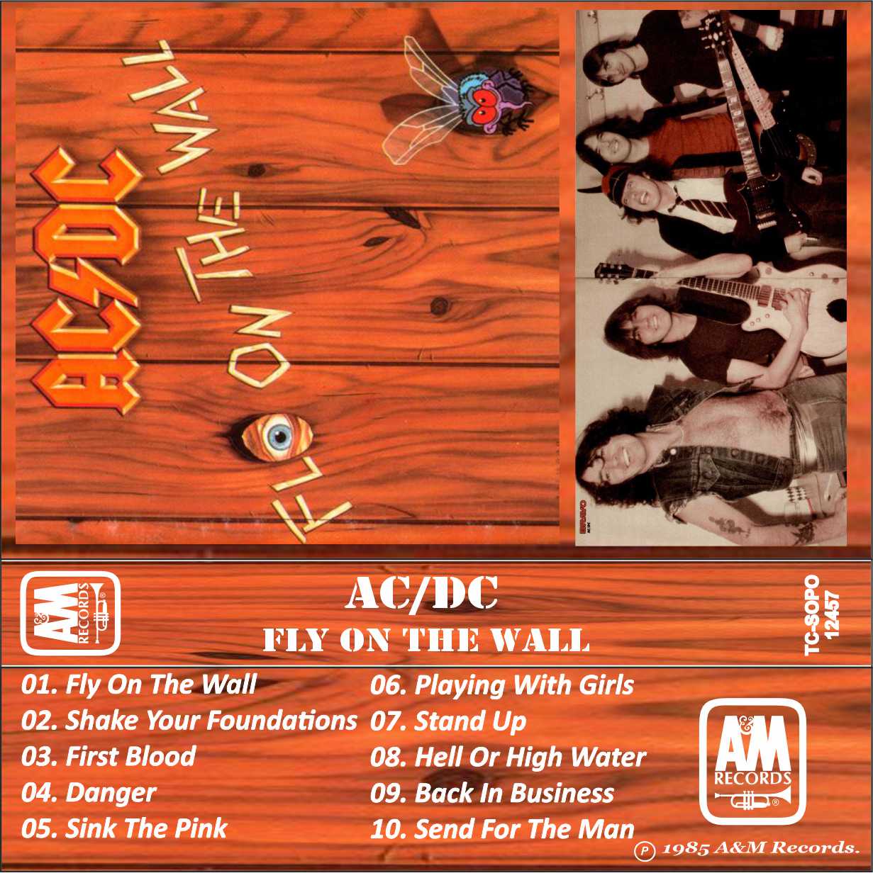 Ac-Dc-Fly On The Wall